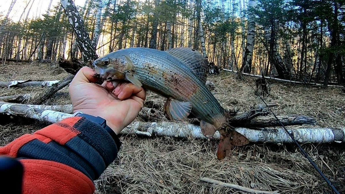 Эпическая рыбалка в России: Покорение самых сложных водоемов для получения крупного улова рыболовные чартеры могут обеспечить комфортную Эпическая рыбалка в России: Покорение самых сложных водоемов для получения крупного улова рыболовные чартеры могут обеспечить комфортную