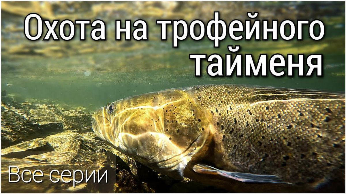 Эпическая рыбалка в России: Покорение самых сложных водоемов для получения крупного улова Помните, что ловля сома - это Эпическая рыбалка в России: Покорение самых сложных водоемов для получения крупного улова Помните, что ловля сома - это
