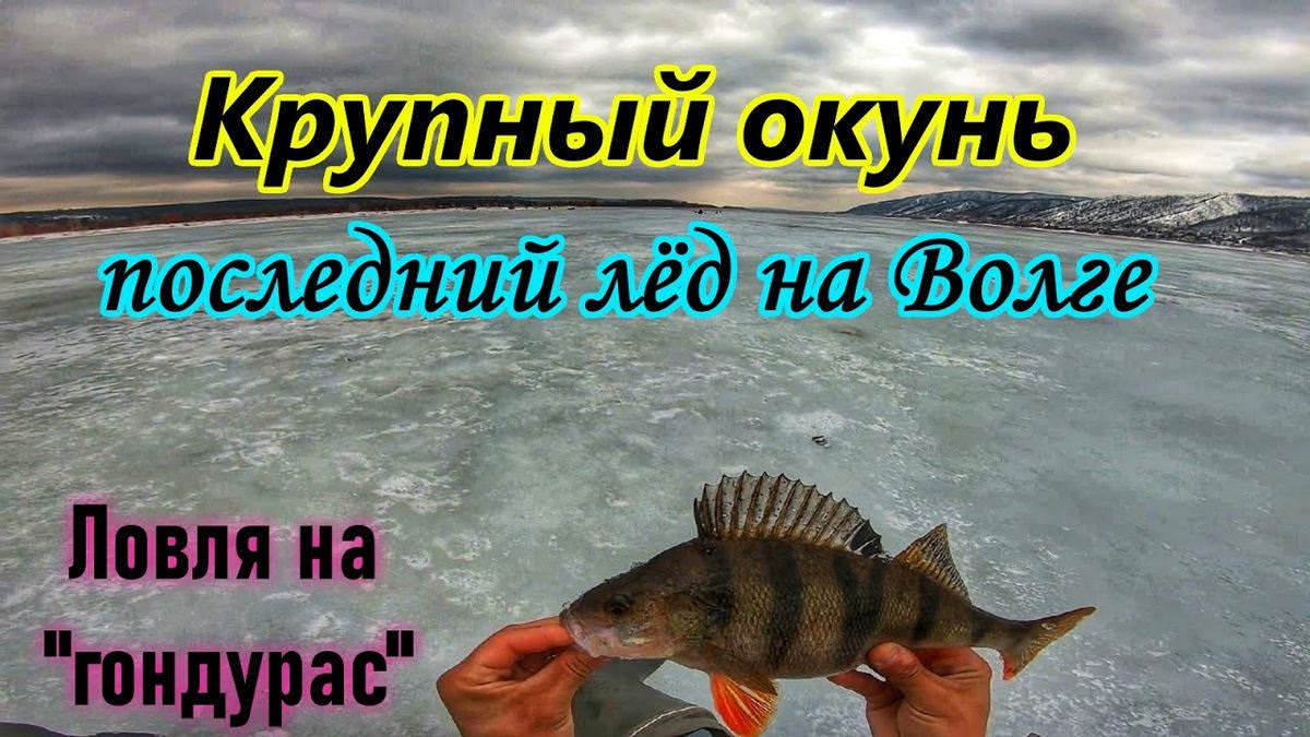 Эпическая рыбалка в России: Покорение самых сложных водоемов для получения крупного улова Озеро Селигер, река Эпическая рыбалка в России: Покорение самых сложных водоемов для получения крупного улова Озеро Селигер, река