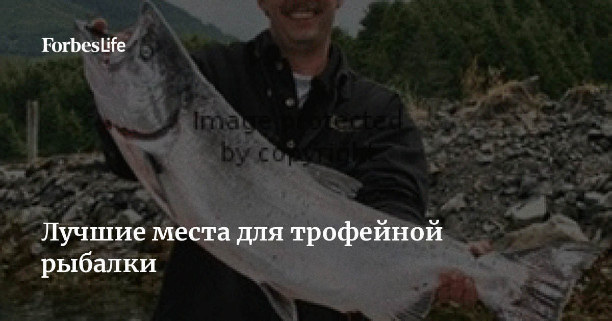 Лучшие места для ловли мускуса в России: Поймайте трофейную рыбу качестве наживок популярны крупные Лучшие места для ловли мускуса в России: Поймайте трофейную рыбу качестве наживок популярны крупные