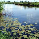 luchshie-mesta-dlya-lovli-karasya-v-sankt-peterburge-i-len