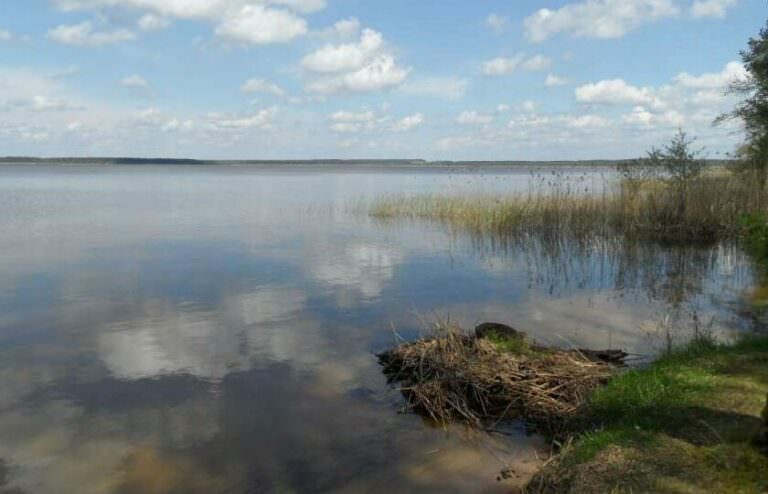 Река Свирь: особенности и секреты успешной ловли впроводку